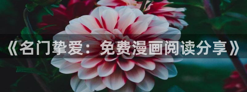 歪歪漫画未删减版：《名门挚爱：免费漫画阅读分享》