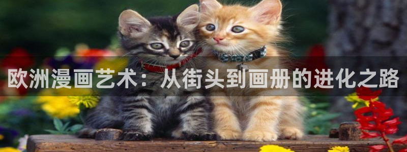 韩国污漫歪歪漫画：欧洲漫画艺术：从街头到画册的进化之路